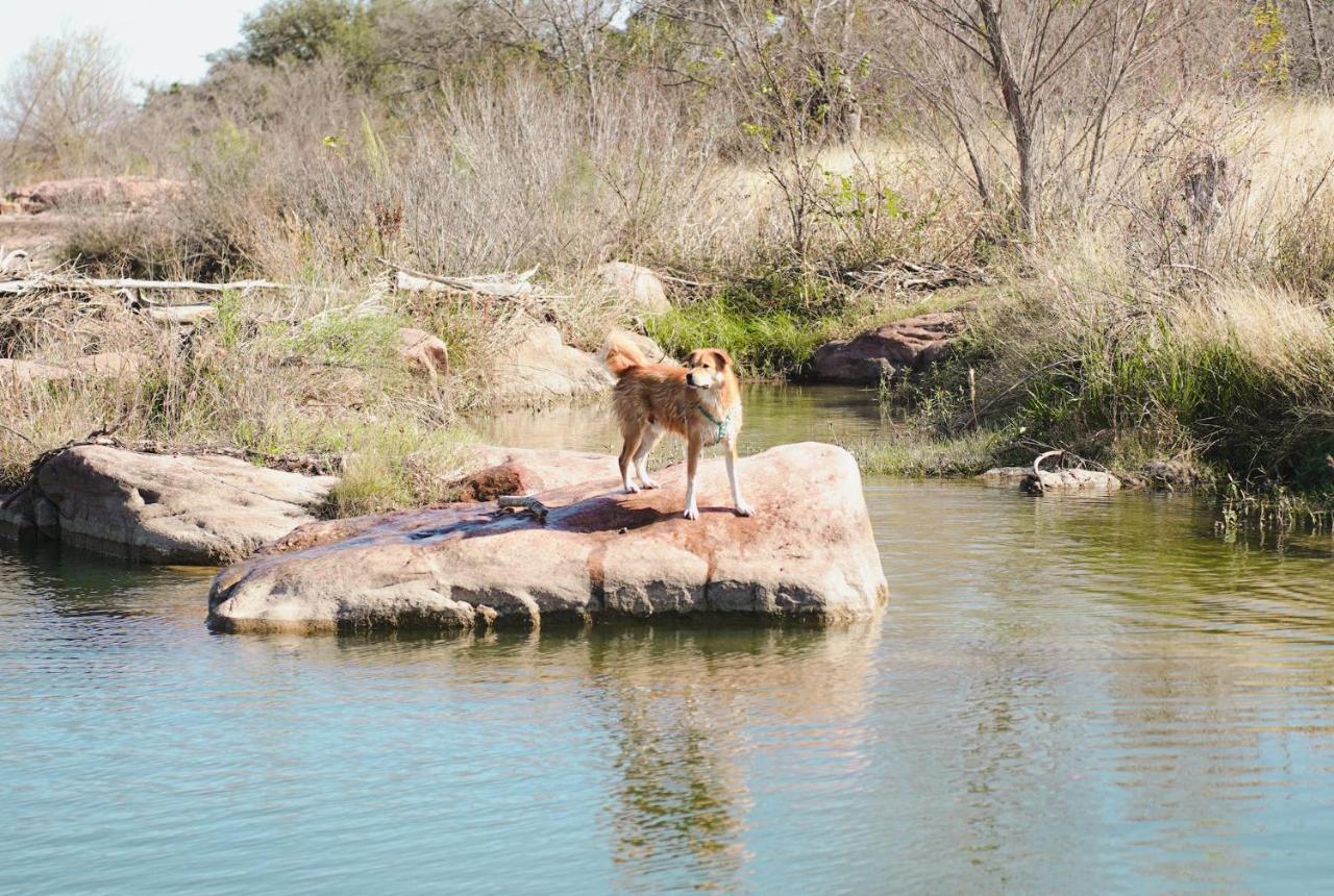 Lazo House - Riverfront With Overlooking Llano River מראה חיצוני תמונה